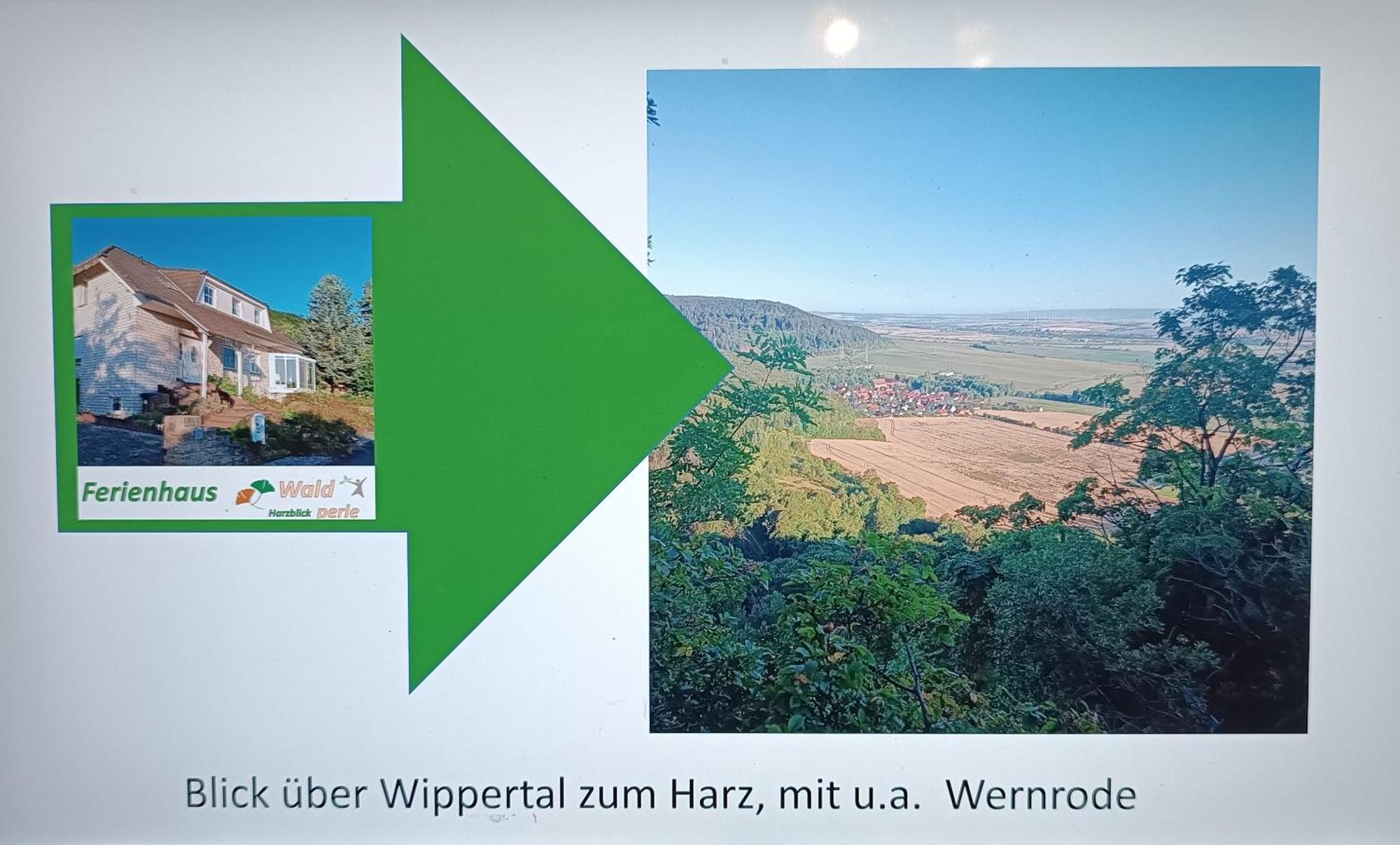 Ferienhaus Waldperle Harzblick Wernrode ภายนอก รูปภาพ
