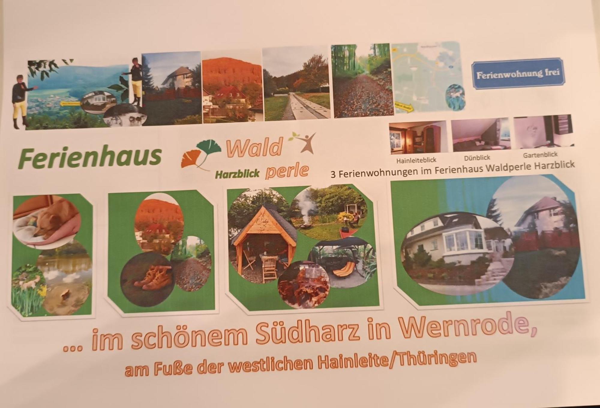 Ferienhaus Waldperle Harzblick Wernrode ภายนอก รูปภาพ