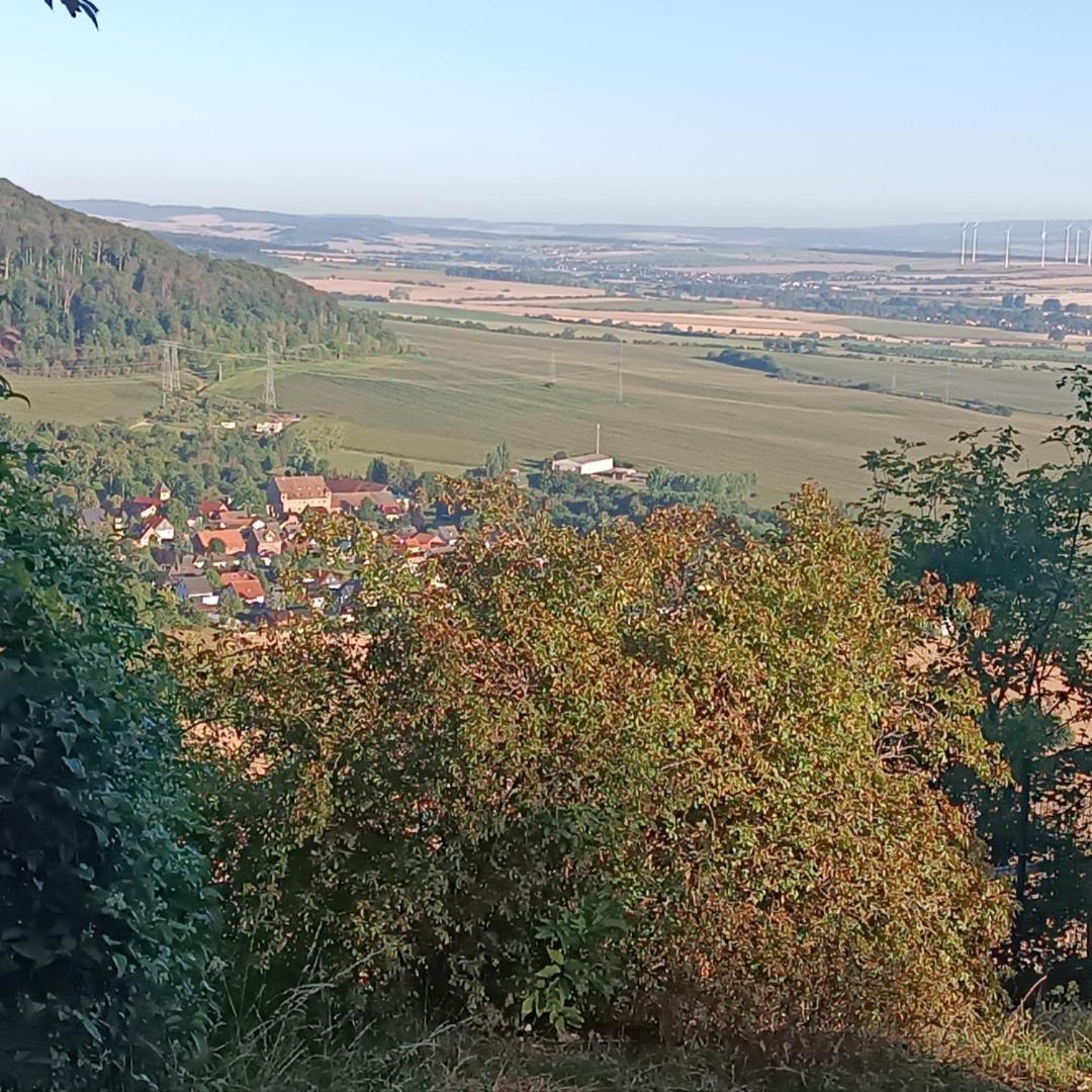 Ferienhaus Waldperle Harzblick Wernrode ภายนอก รูปภาพ