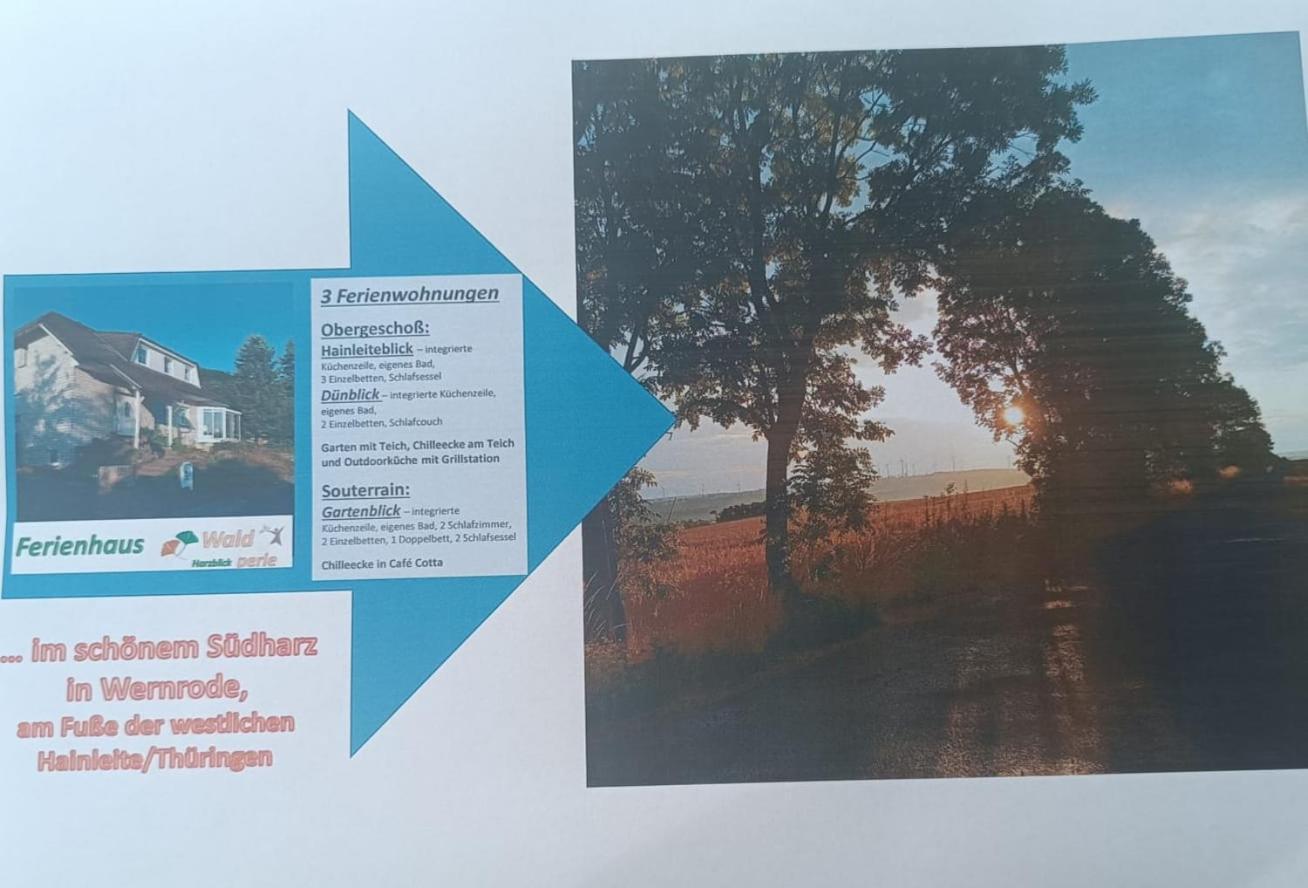 Ferienhaus Waldperle Harzblick Wernrode ภายนอก รูปภาพ